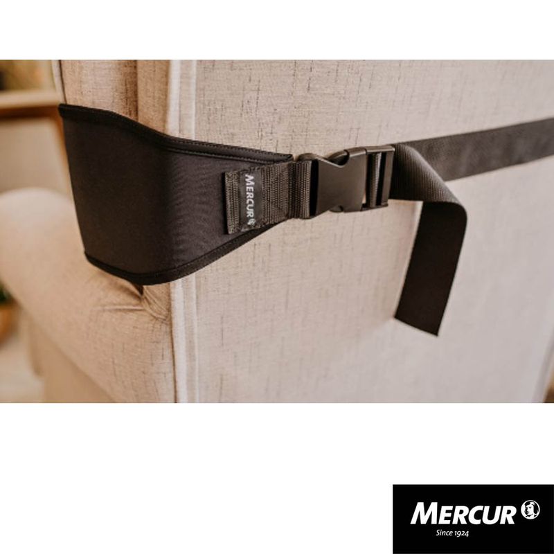 Cinta-mercur