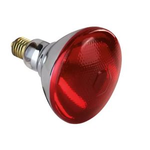 Lampada Infravermelho Infralight