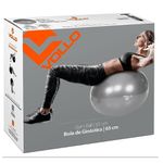 Gym-Ball65